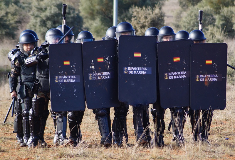 Madrid Security Group (AGRUMAD)
