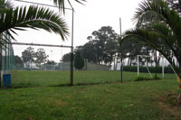 Campo de fútbol de hierba