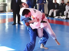 Militares precticando judo